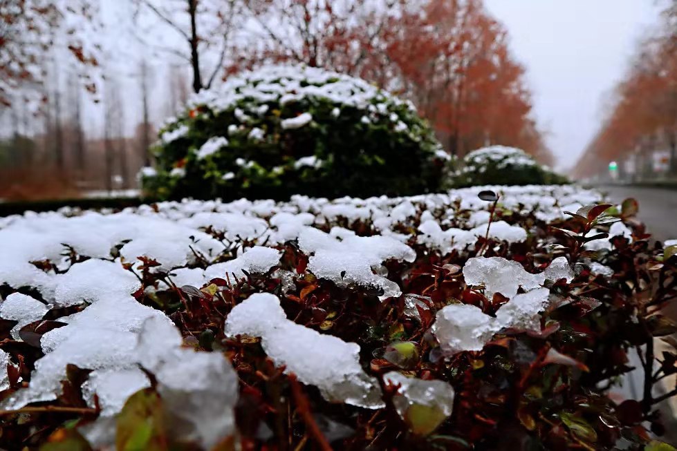 初雪已至，預(yù)見(jiàn)不如遇見(jiàn)